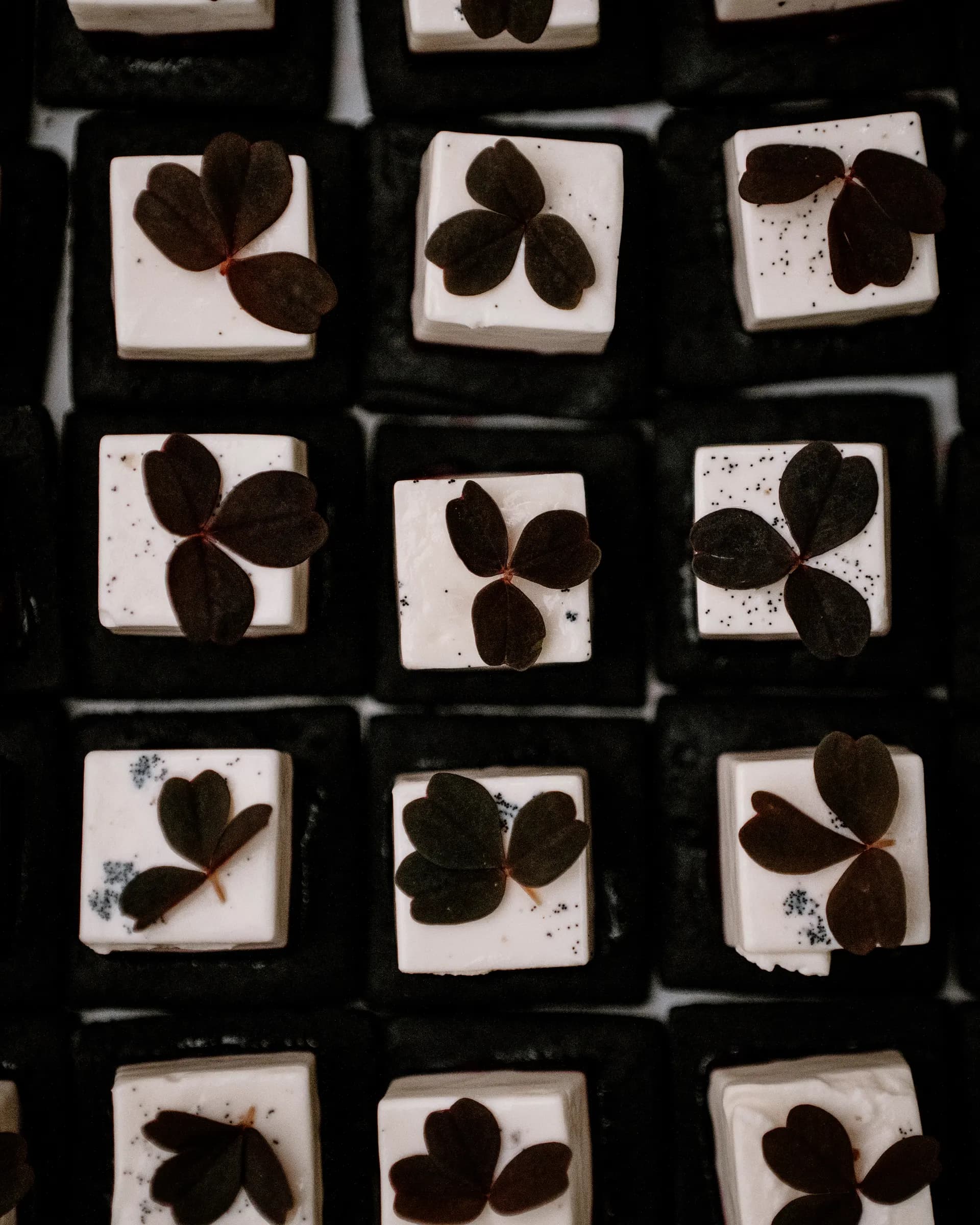 White canapés on a dark background