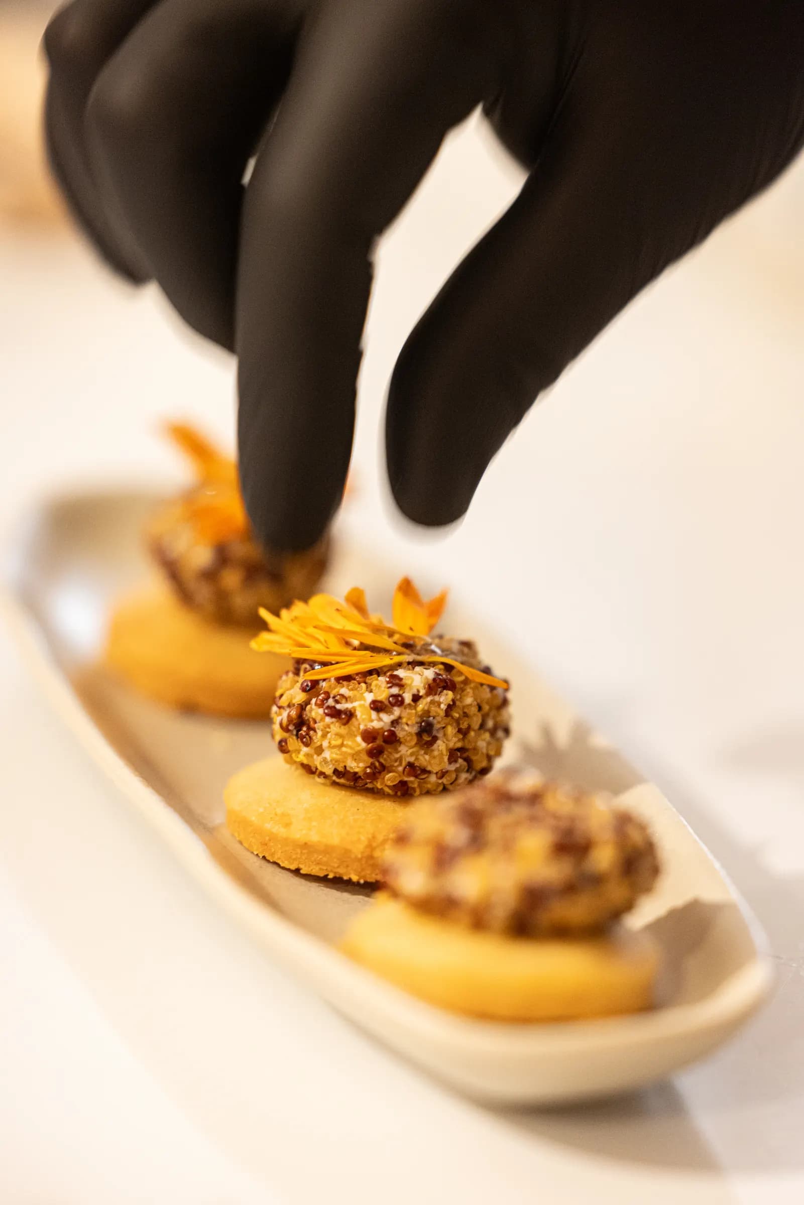 Gloved hands plating a canapé